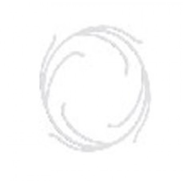 Disc de centrare pentru cartuse filtrante NI-212-CENT_K