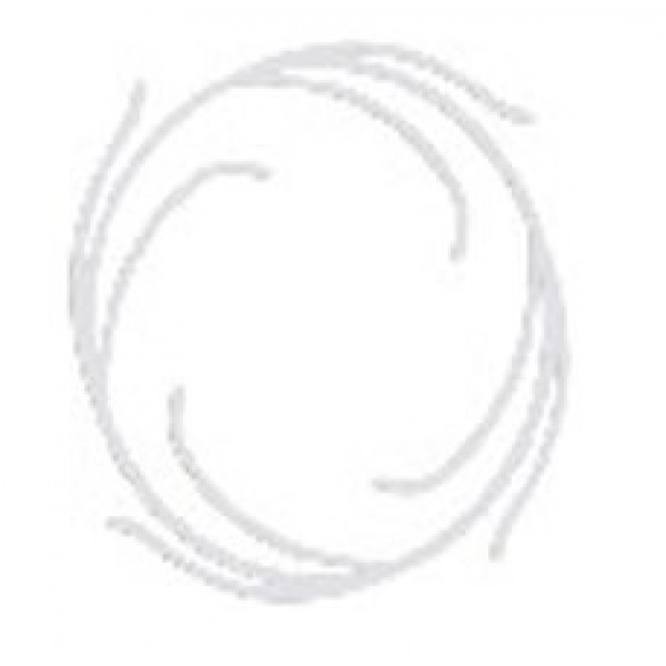 Disc de centrare pentru cartuse filtrante NI-412-CENT_K